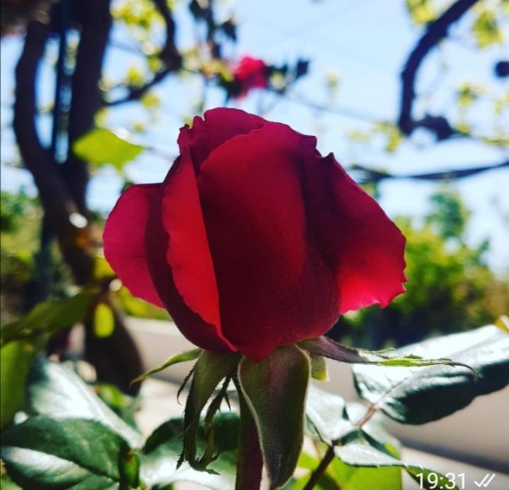 La Dimora Di Nonno Nuccio Otel Ragusa Dış mekan fotoğraf