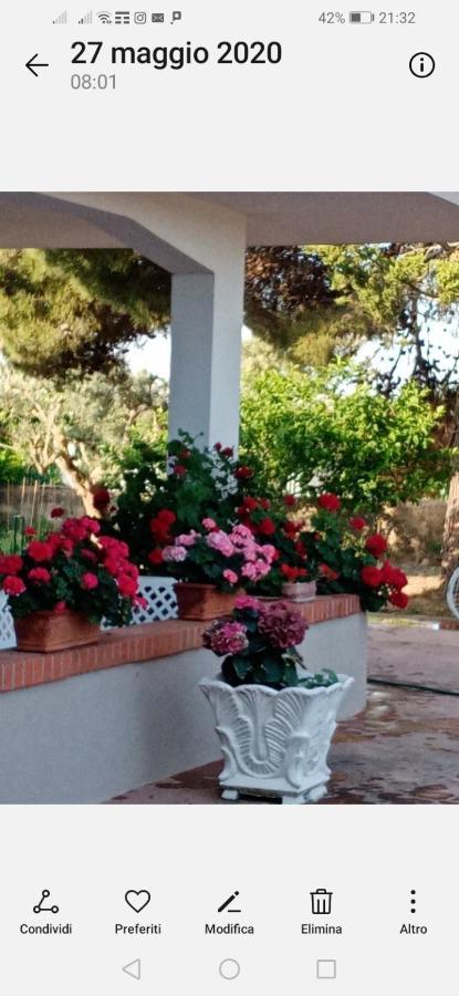 La Dimora Di Nonno Nuccio Otel Ragusa Dış mekan fotoğraf