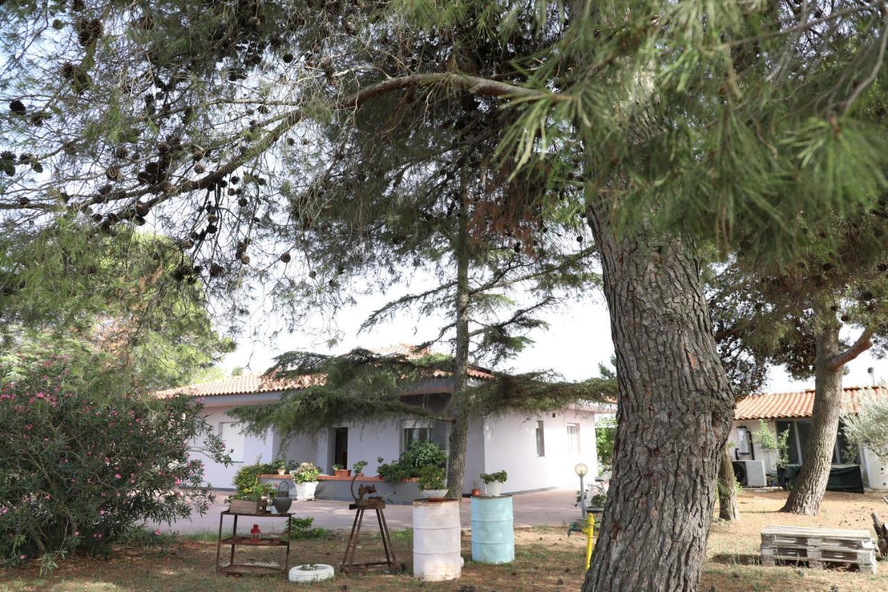 La Dimora Di Nonno Nuccio Otel Ragusa Dış mekan fotoğraf