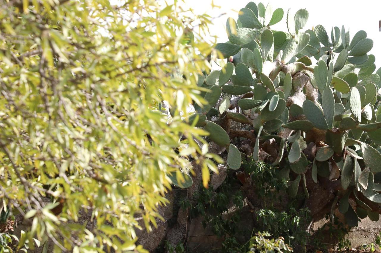 La Dimora Di Nonno Nuccio Otel Ragusa Dış mekan fotoğraf